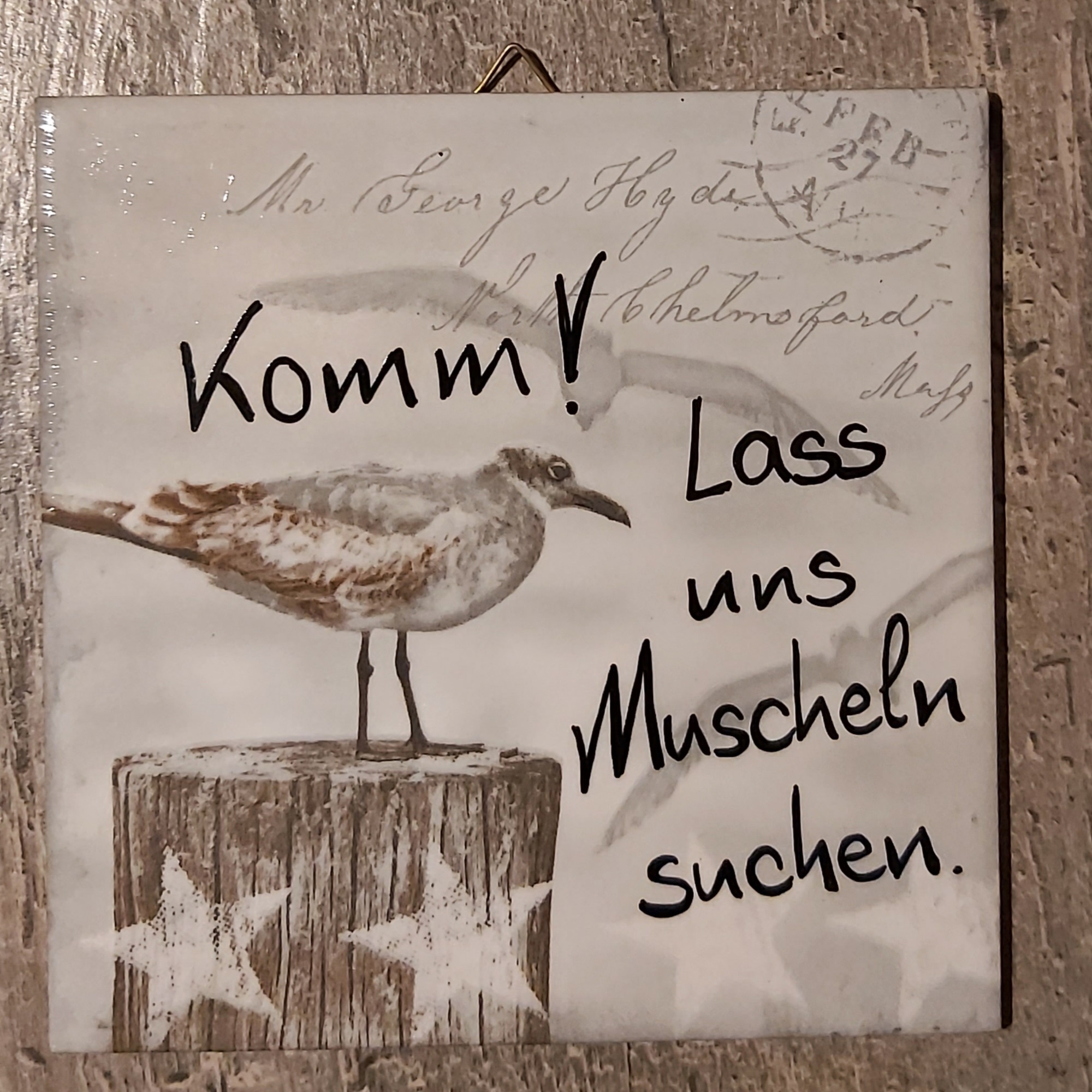Komm! Lass uns Muscheln suchen. Bilder Meer